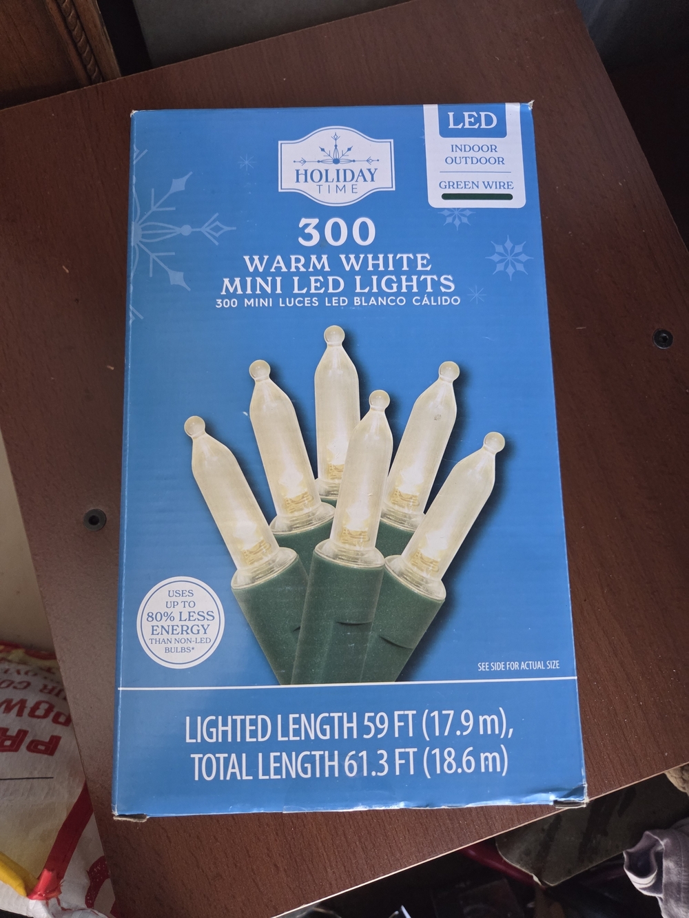 Holiday Time Warm White Mini LED String Lights with Green Wire
